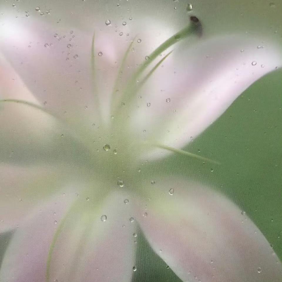 范范女装工厂店