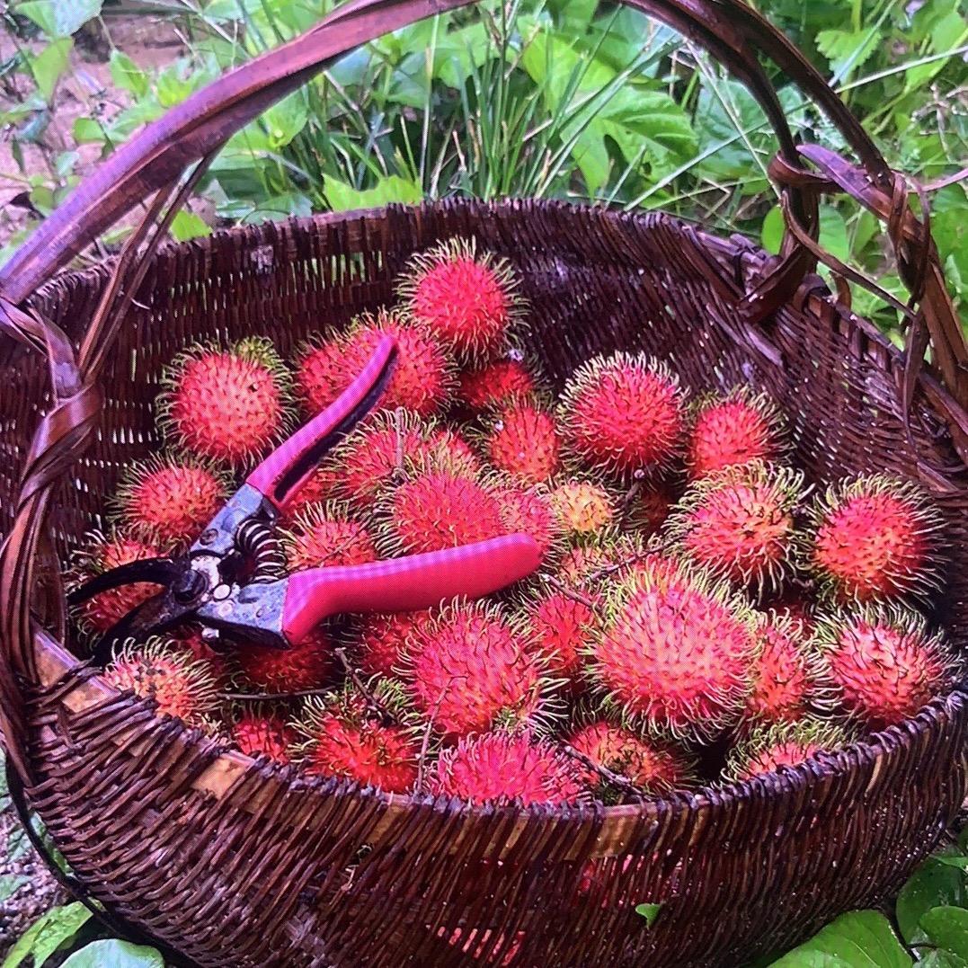 两极农场