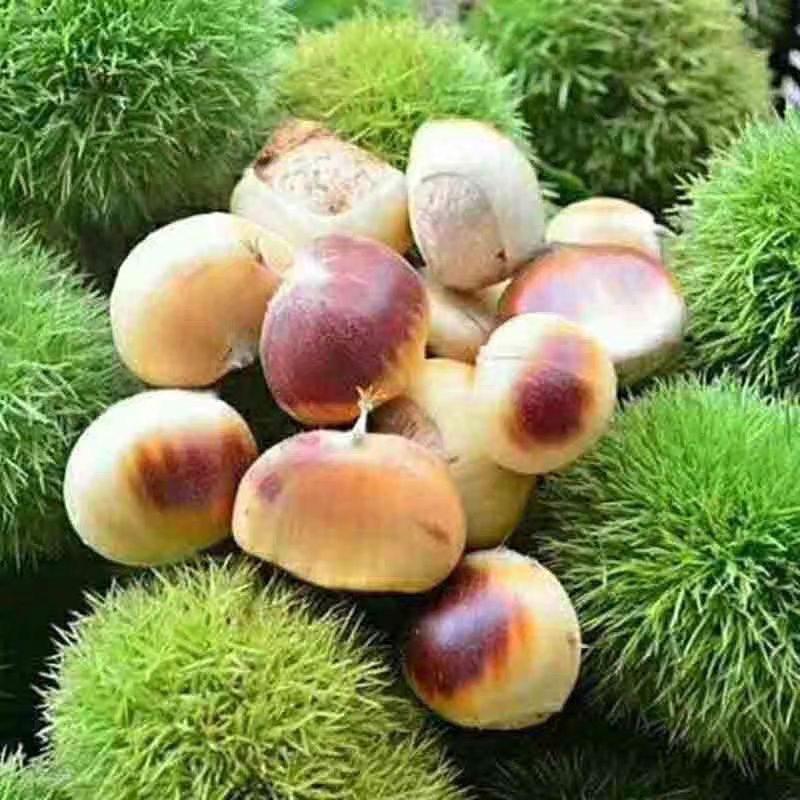栗栗栗栗子铺