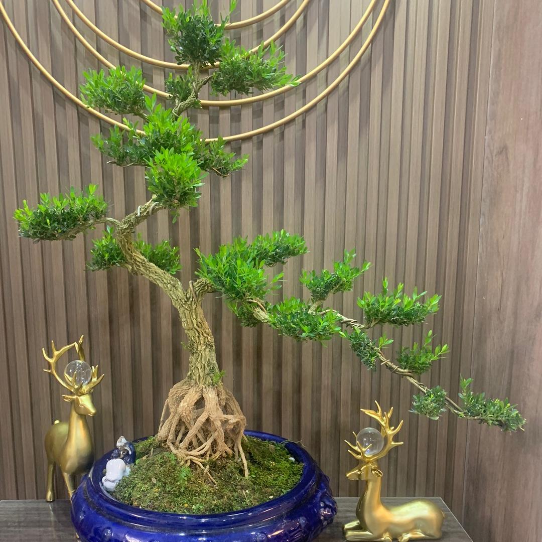 浩旋机械