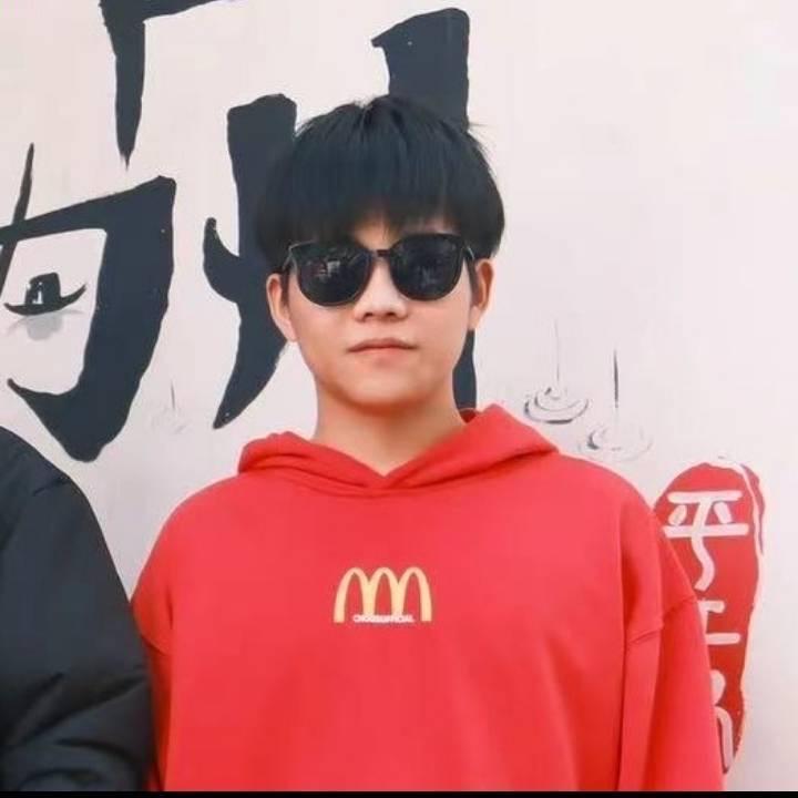 继承火之意志的男人