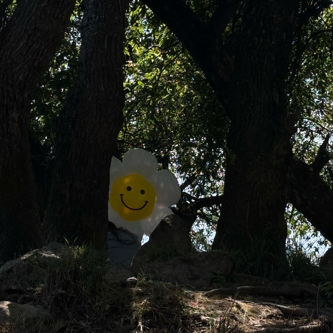 剧终