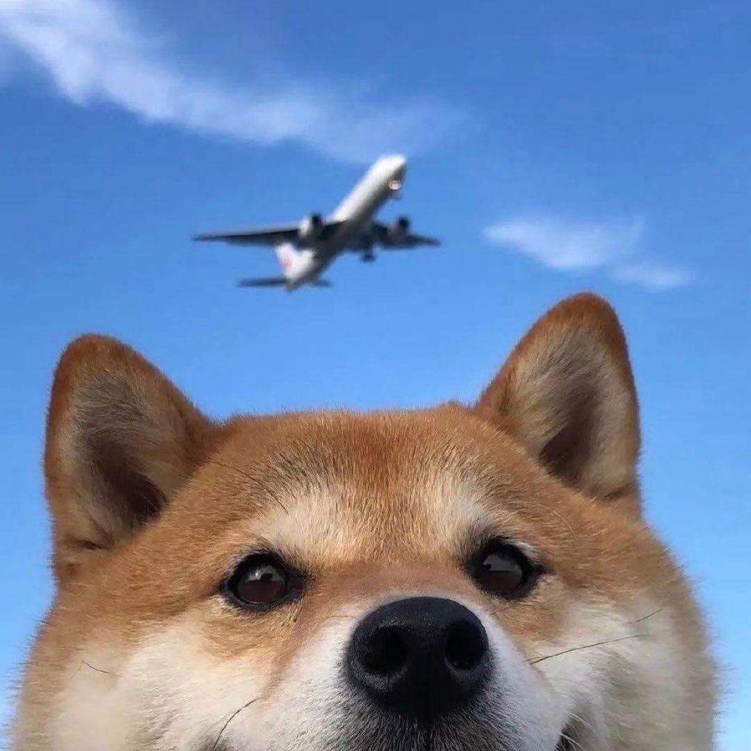 墨迹哆啦