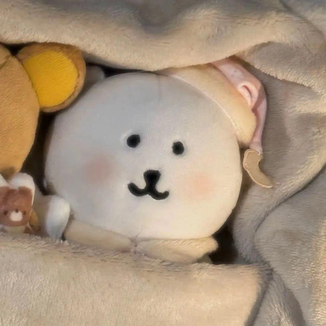 窝萌晞晞