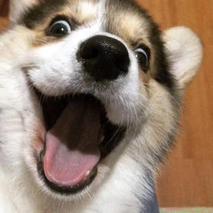 铭一