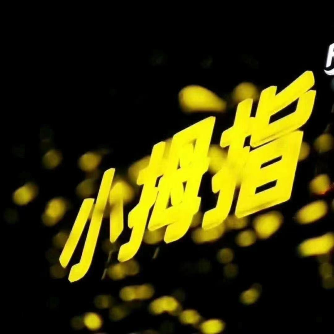 小拇指长兴新能源汽车城叶哥