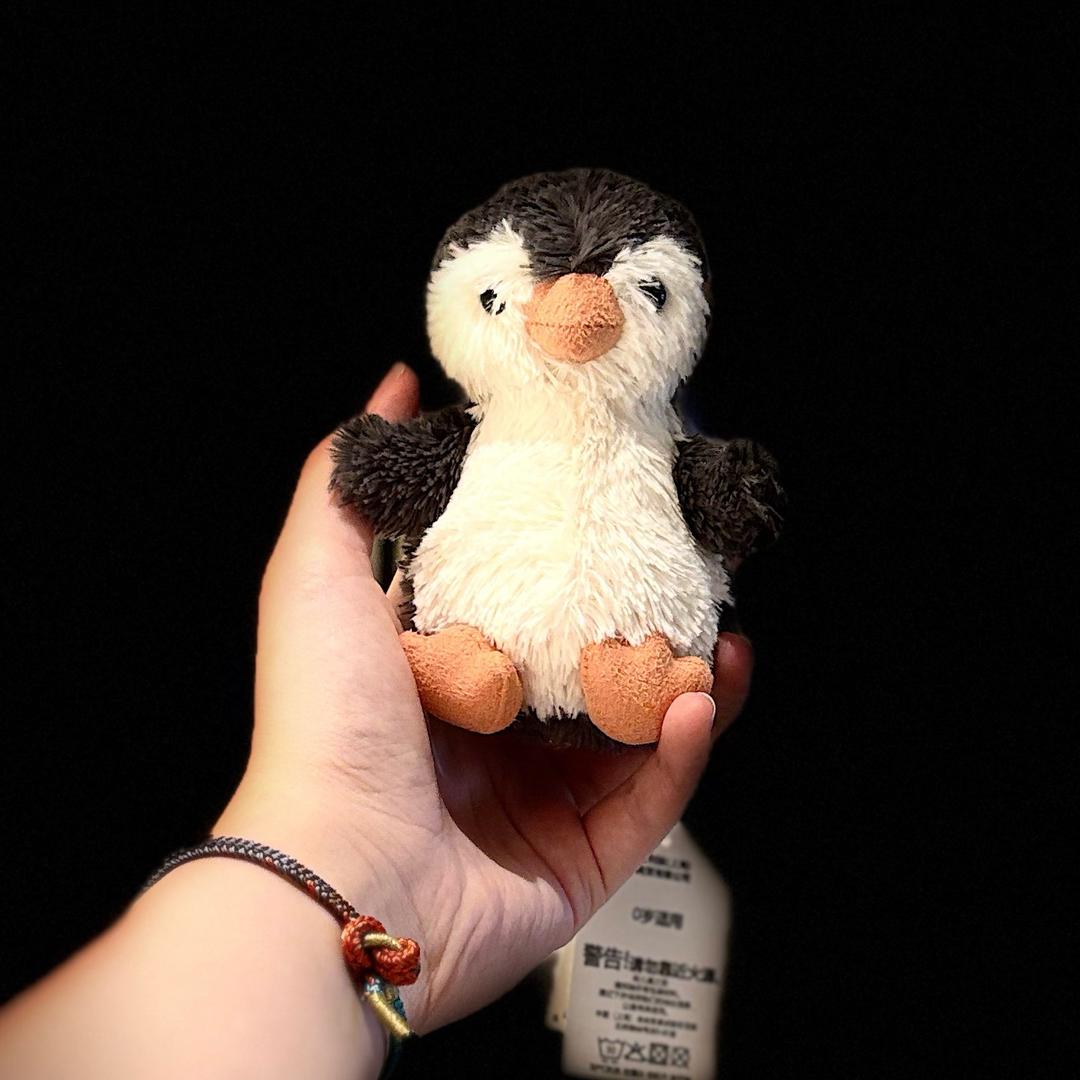 Fancy🐧