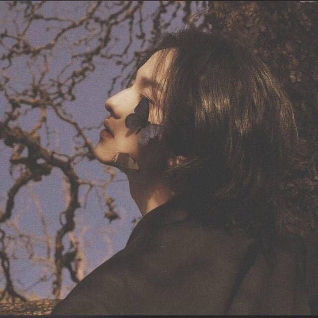 𝒟𝒾𝓎卢不易