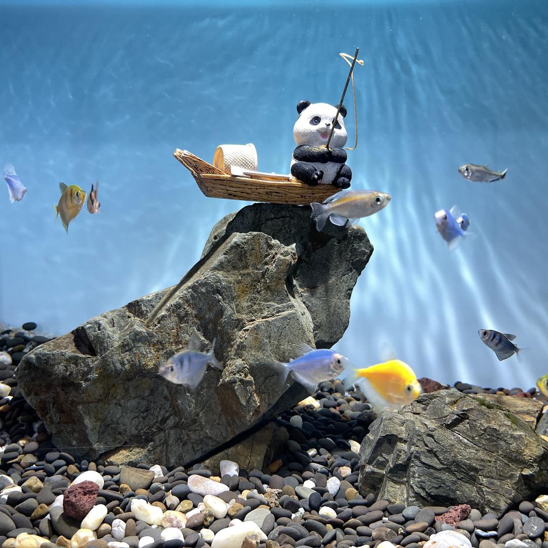 赣小南乐田水族专卖店2号