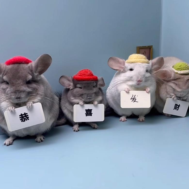 保定房产小田田