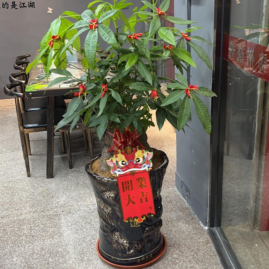 @大名鼎丁