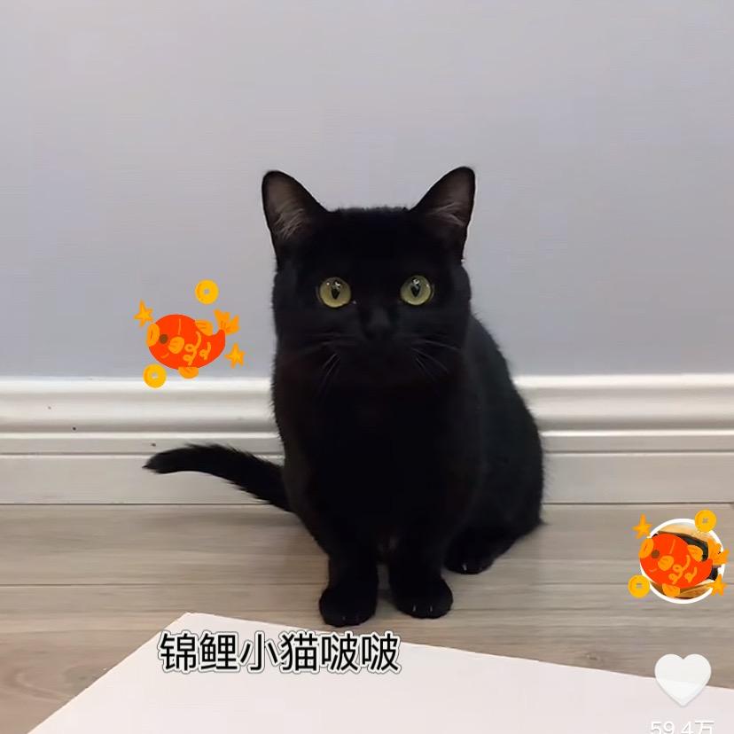 乐萱866