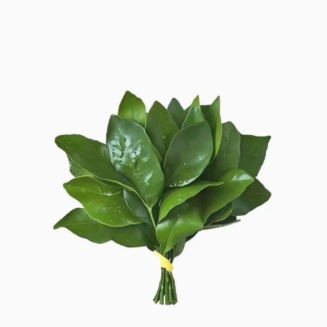 可我是近视眼