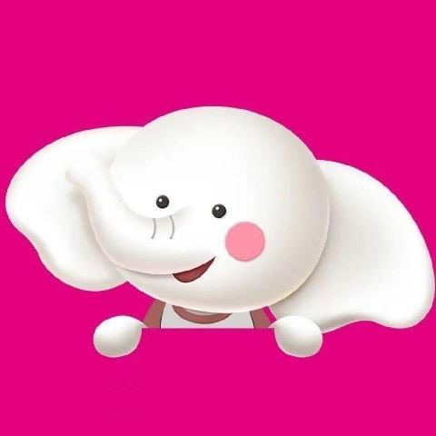 小飞象科海明珠店