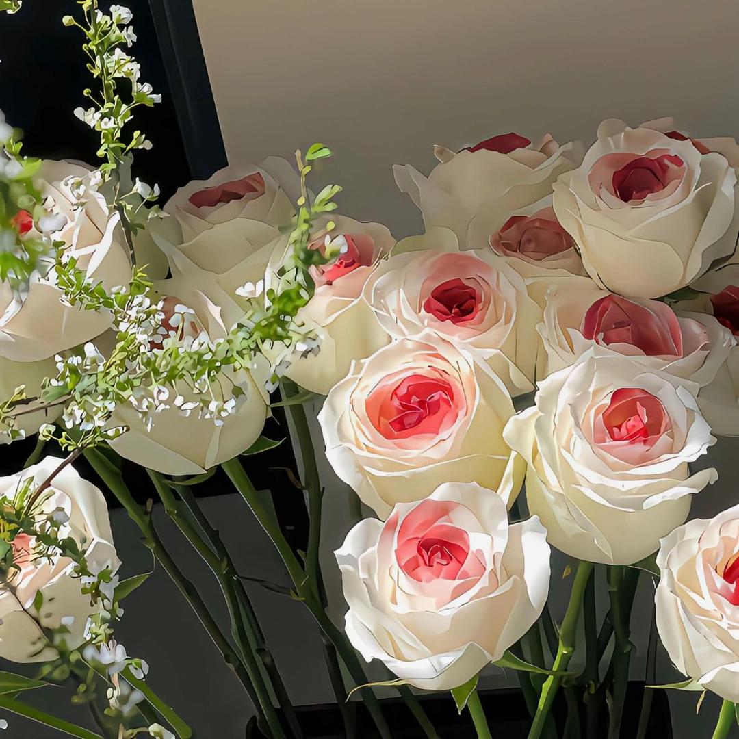 是葡萄吖（重生版）