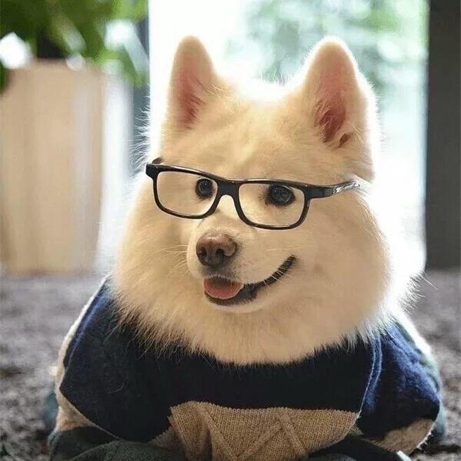 可乐加冰冰