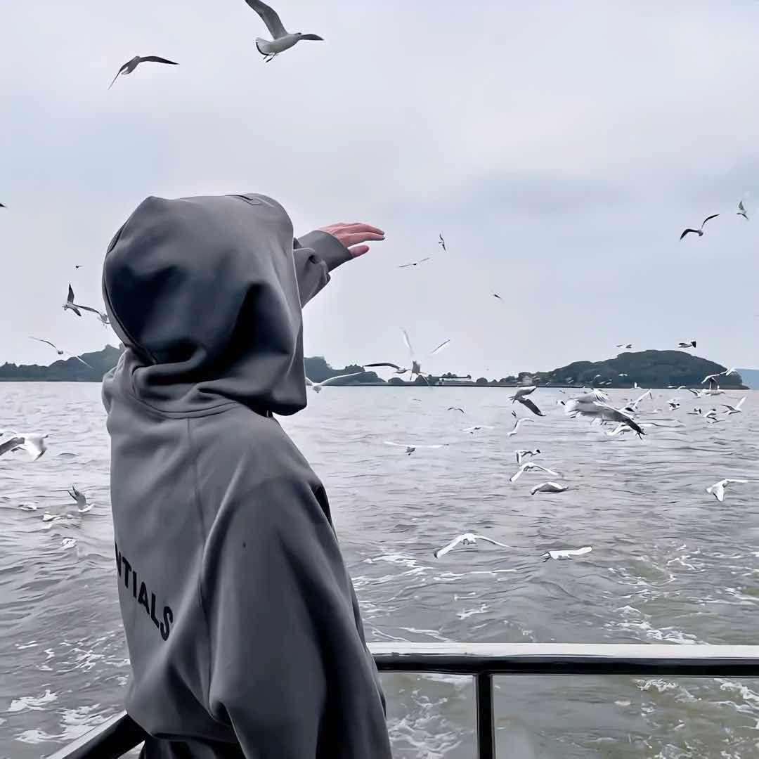 哈尼