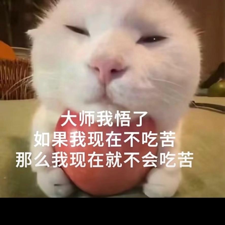 雪染丫头像