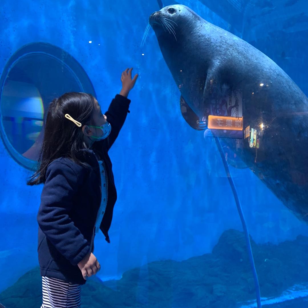 维C今天吃什么🌱