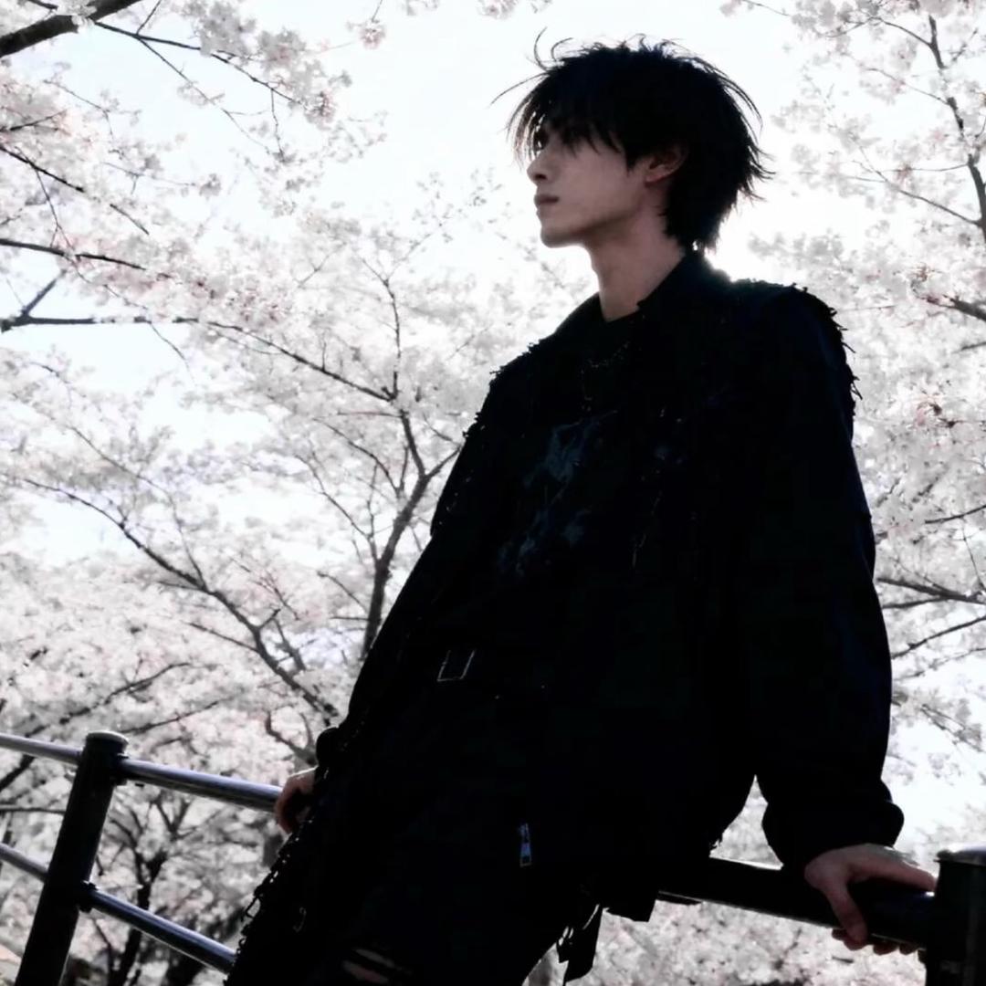 我奶常扇赵子龙