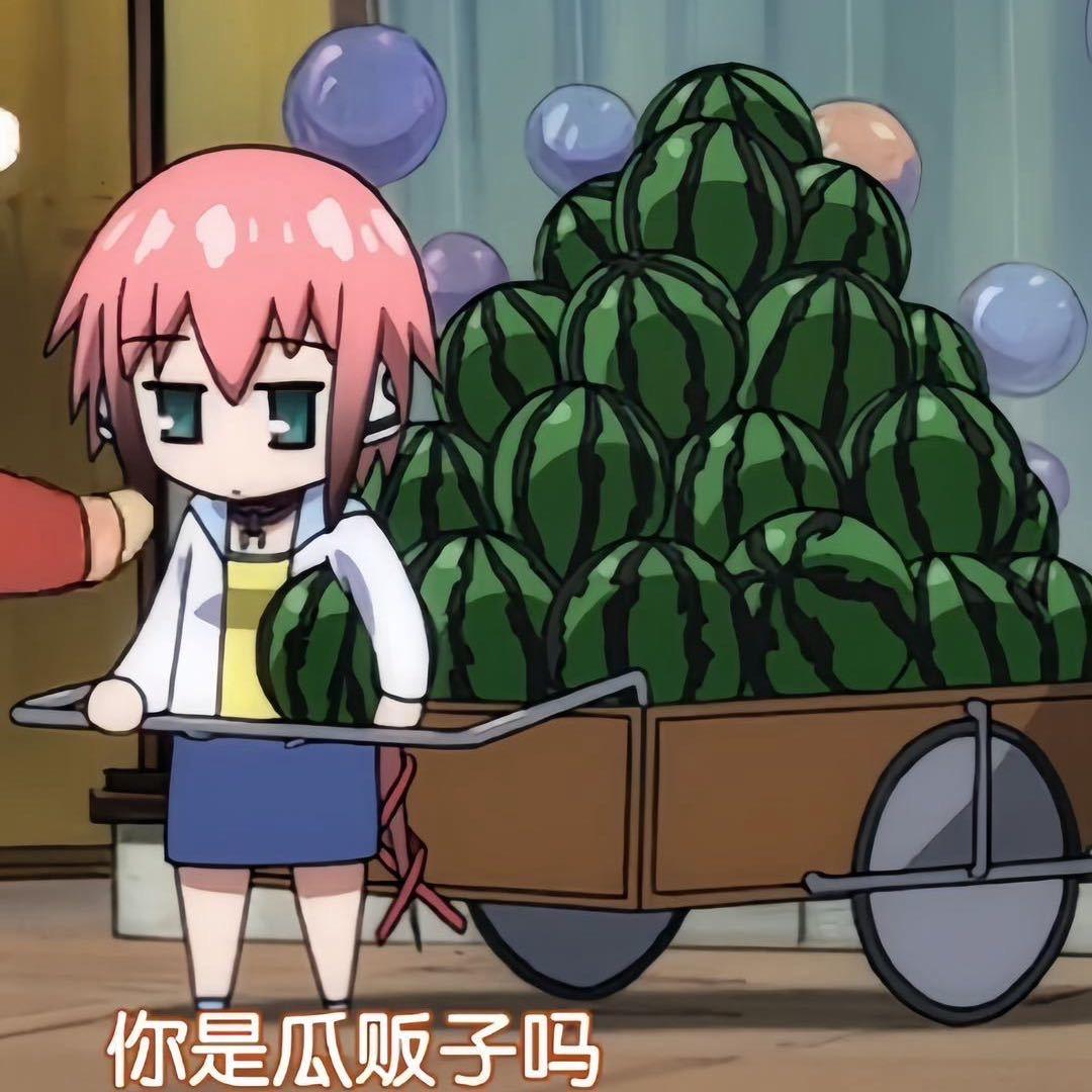 一个破看番的路人.·