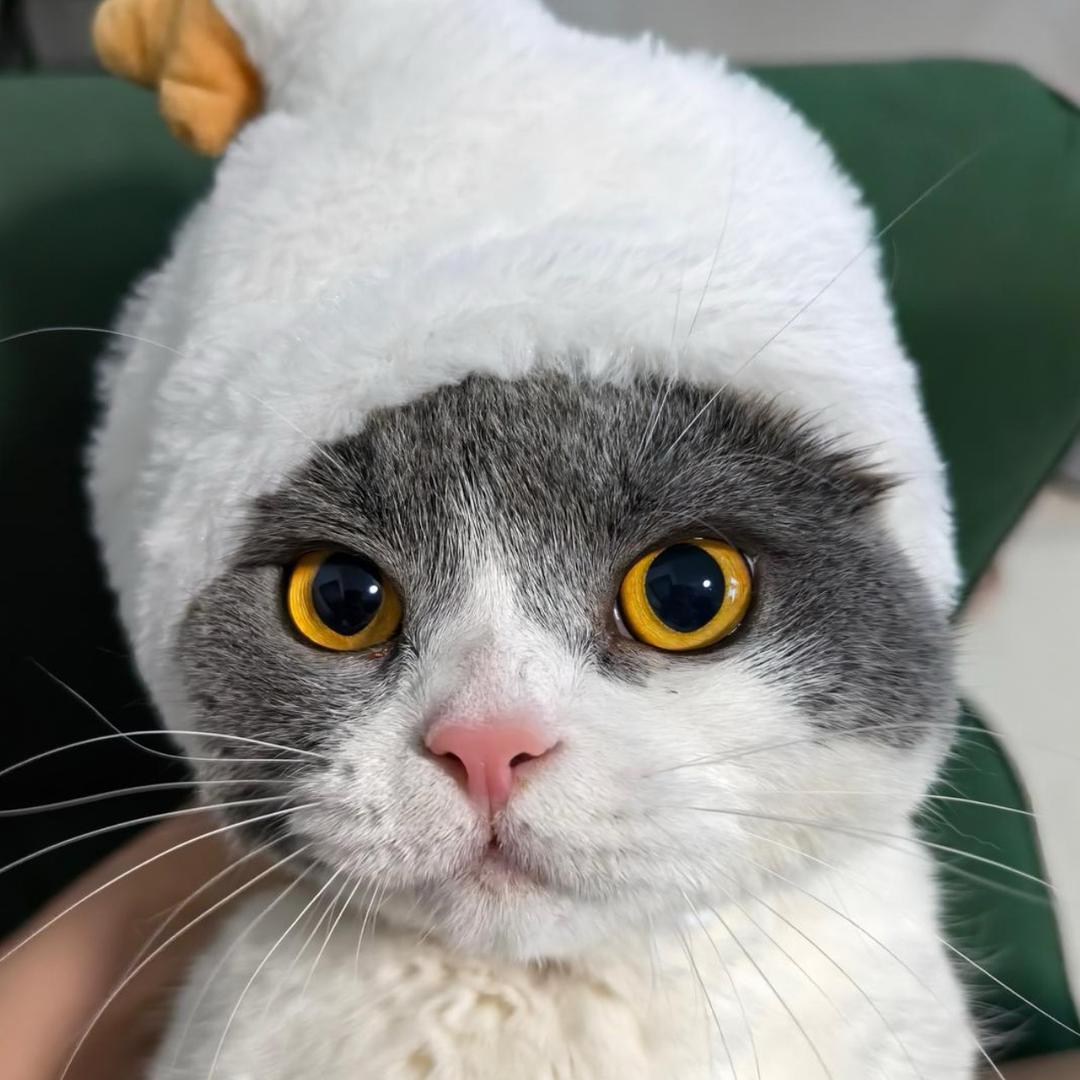杨快乐