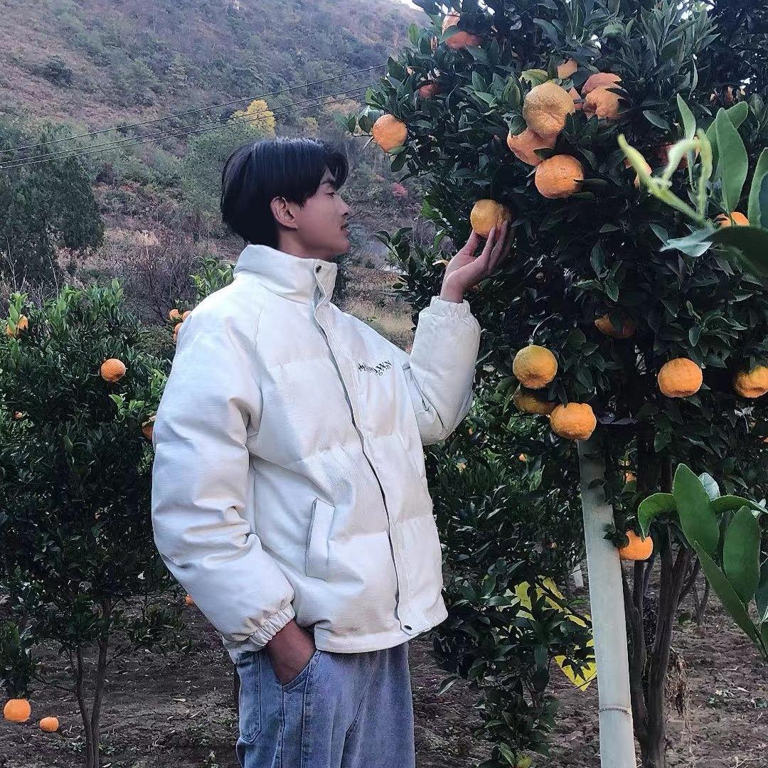 西瓜大王陈大胆