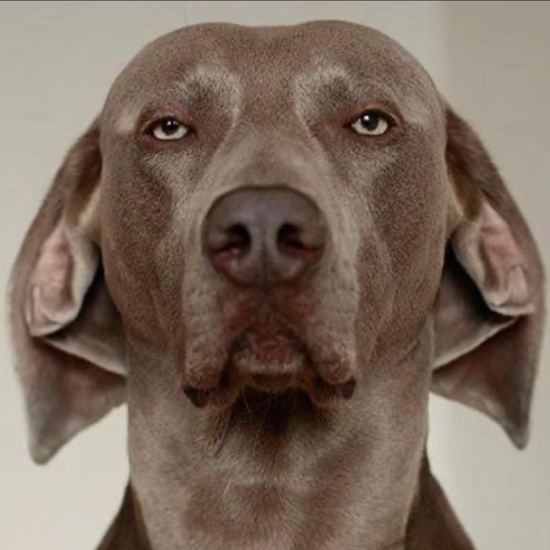 闷油瓶（天下三赛季服）