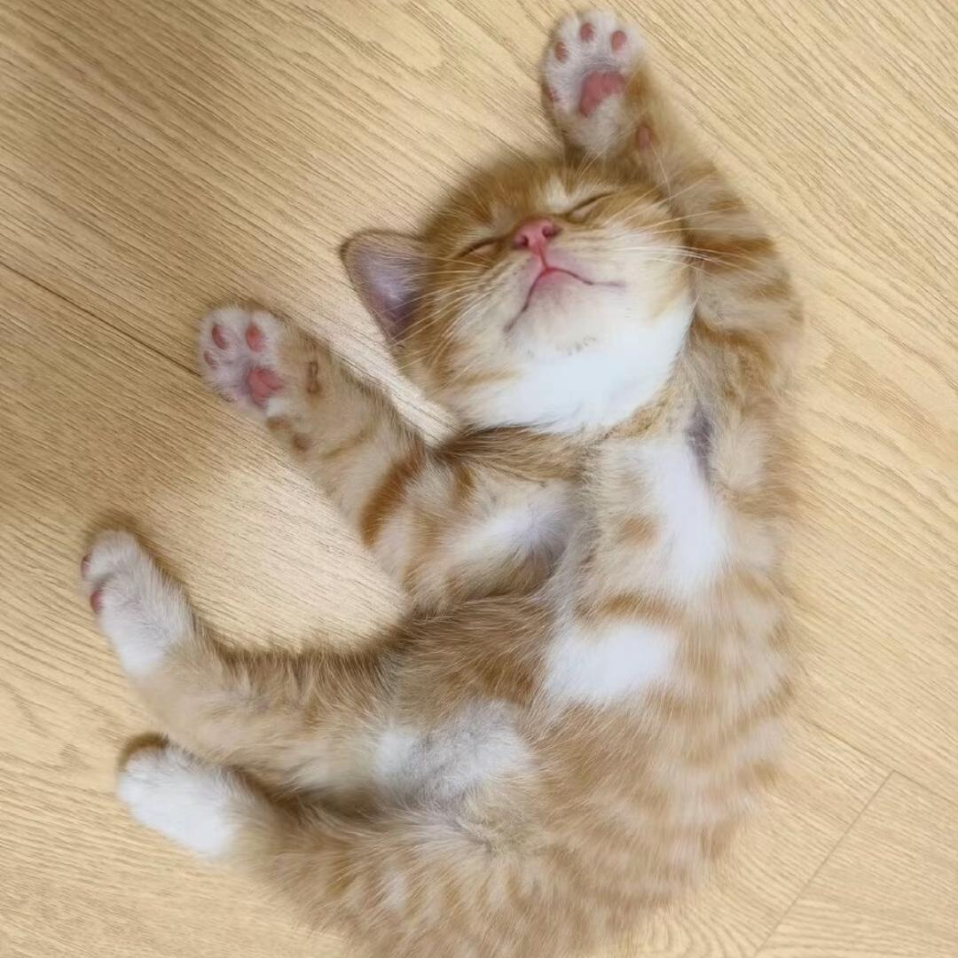 Zzzz.