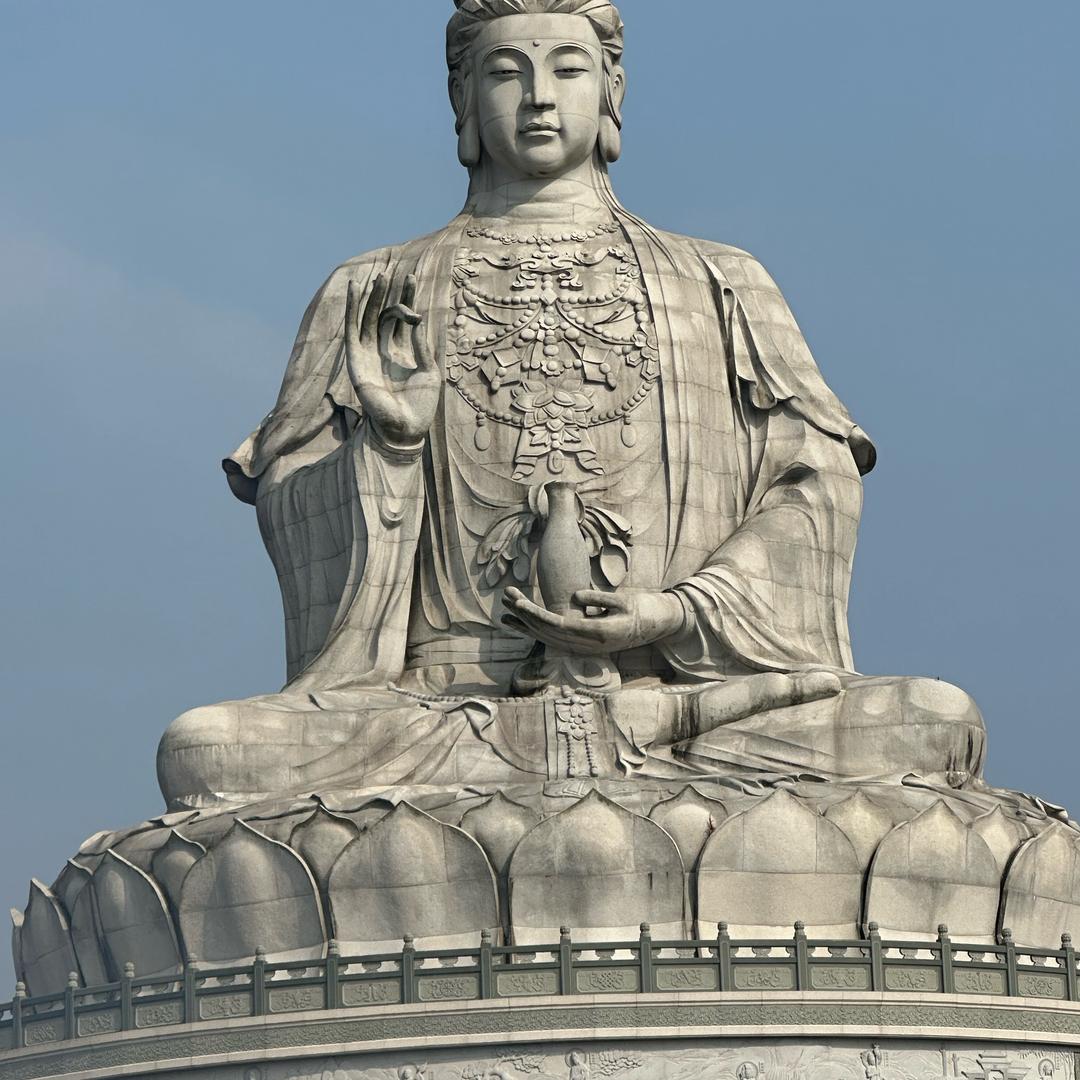 随心所欲