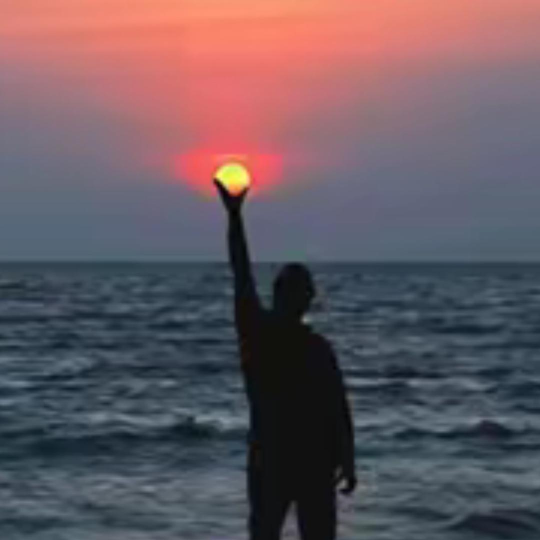 @卧趣大人玩具店