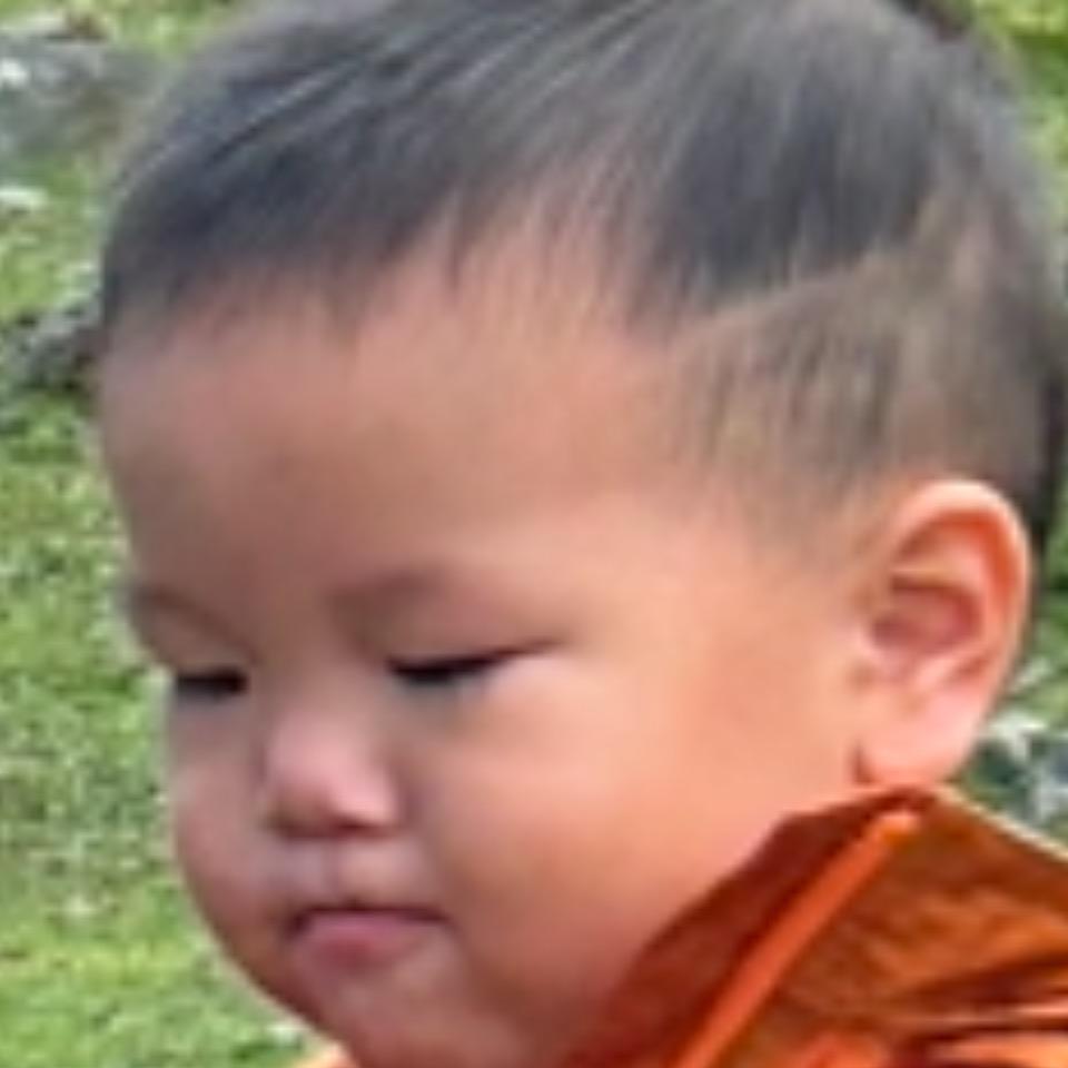 叮叮生活精彩瞬间
