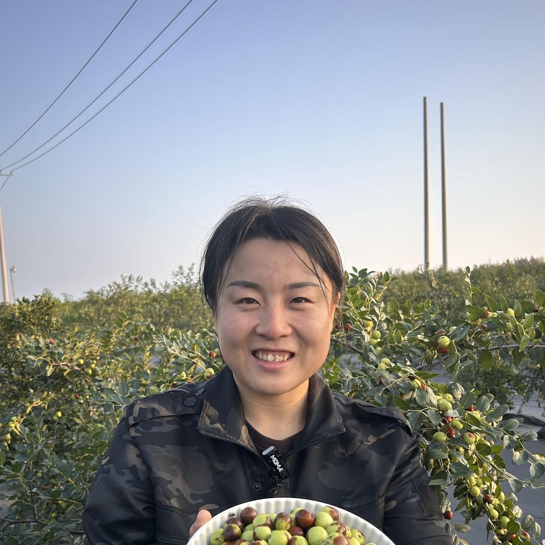 彰阜酸枣果园