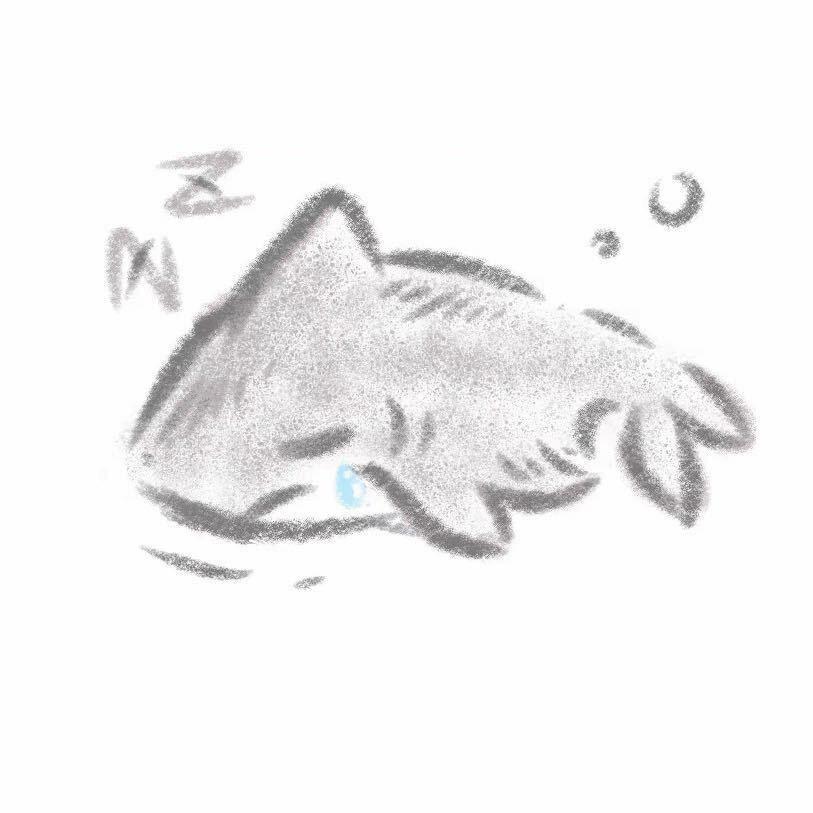 Minnow