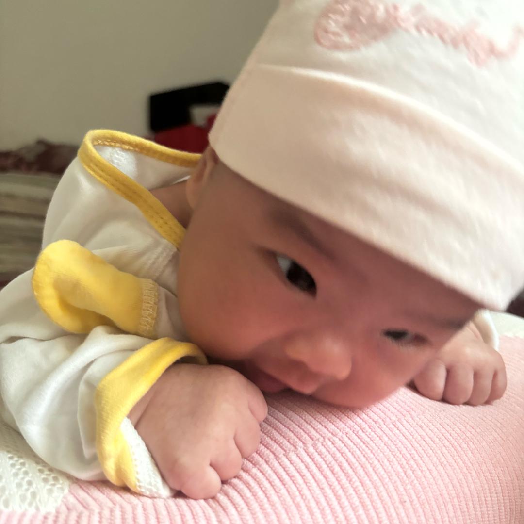 人生海海              🪳