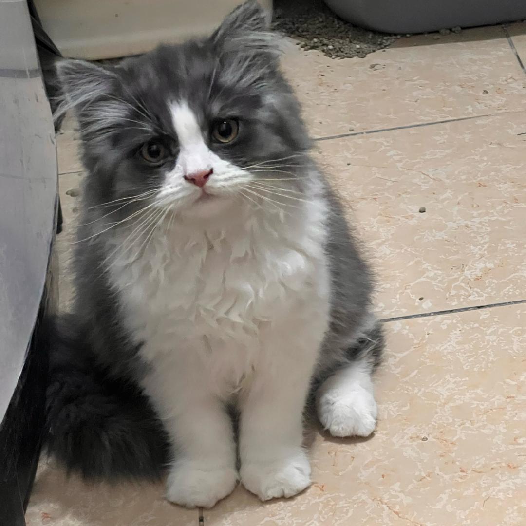 @🇨🇳世界和平