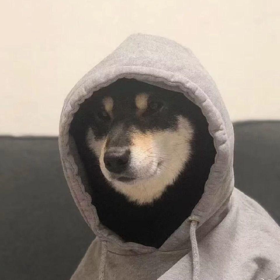 梧桐  🥷