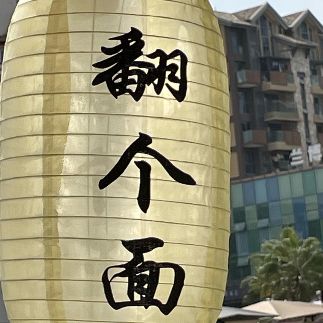 翻个面