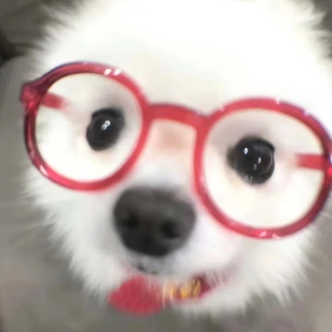 脆脆鲨