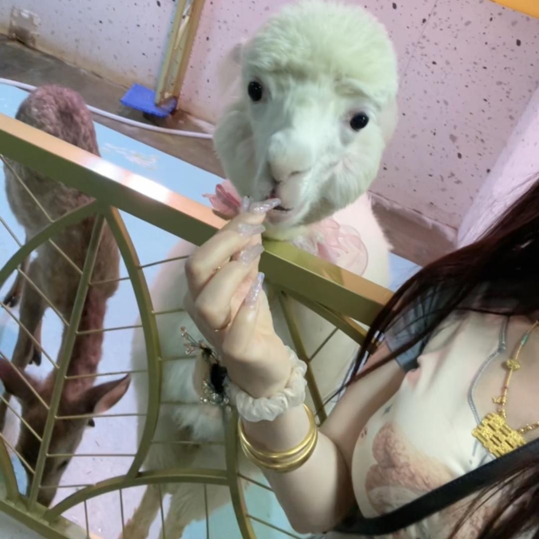 @媛吖.