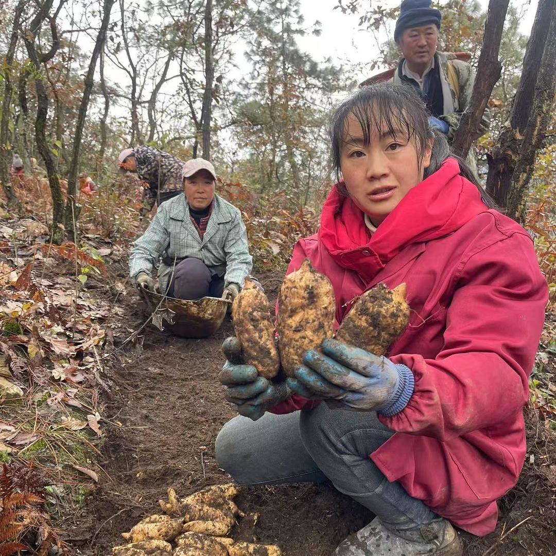 小草坝天麻供销社