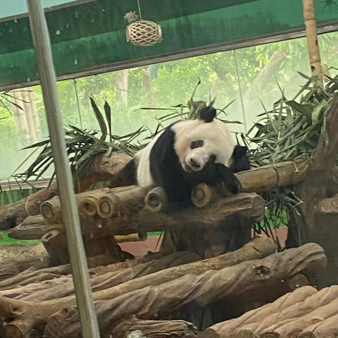 嘻嘻见颜