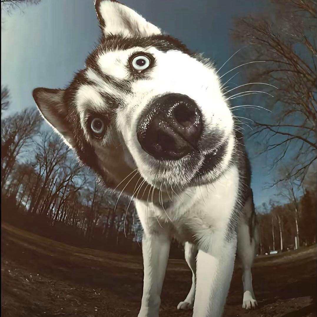 毒蛇