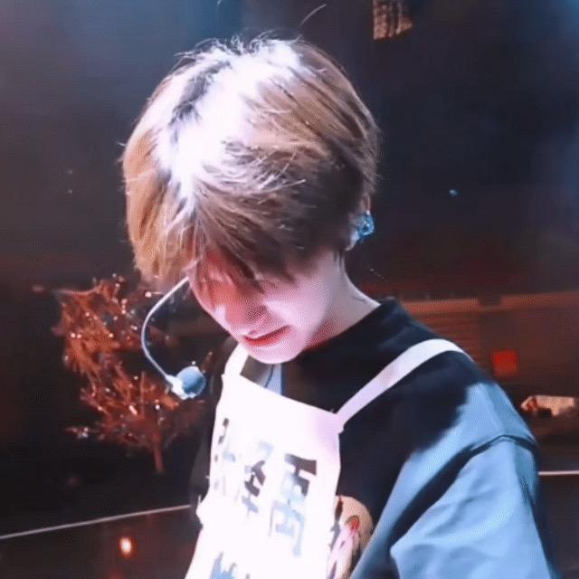 狗语研究发现