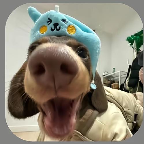 一顿要吃扒个馒头🤤