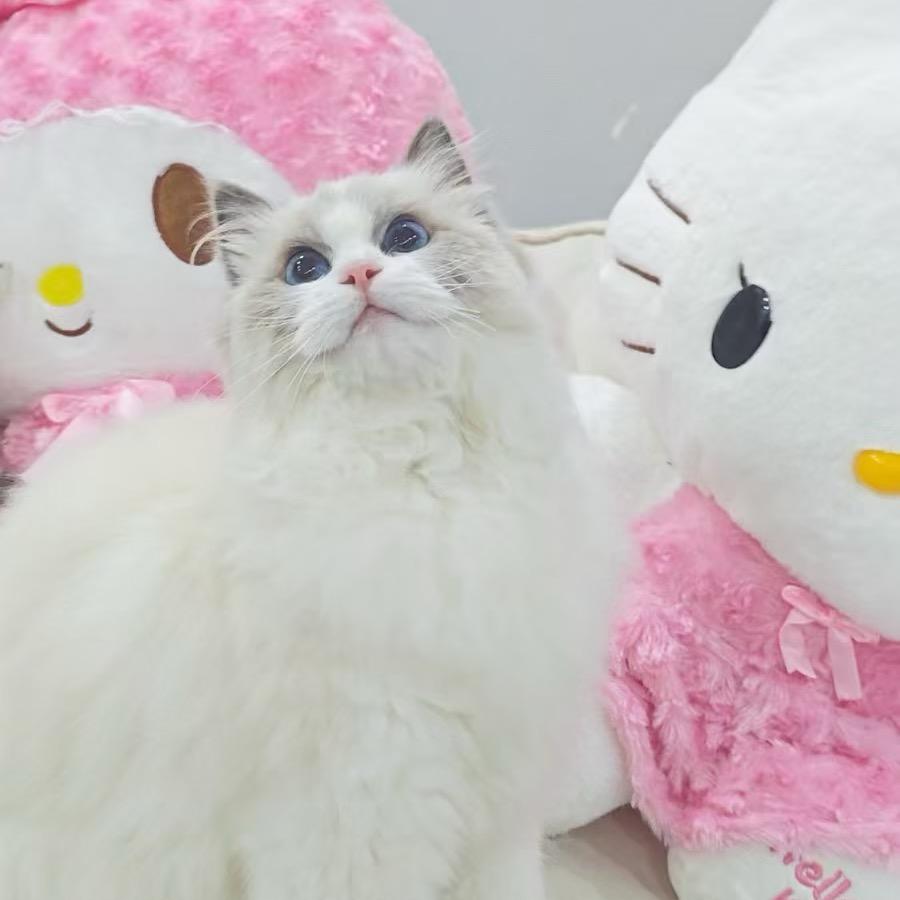 允儿朋友圈