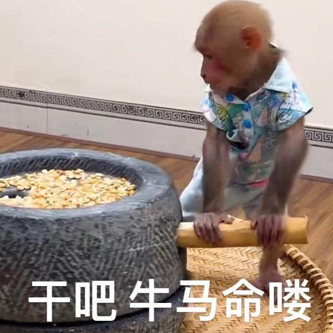 凌乱无序