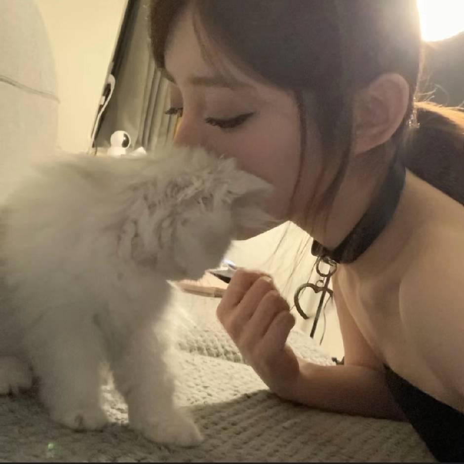 无喵能敌耶耶