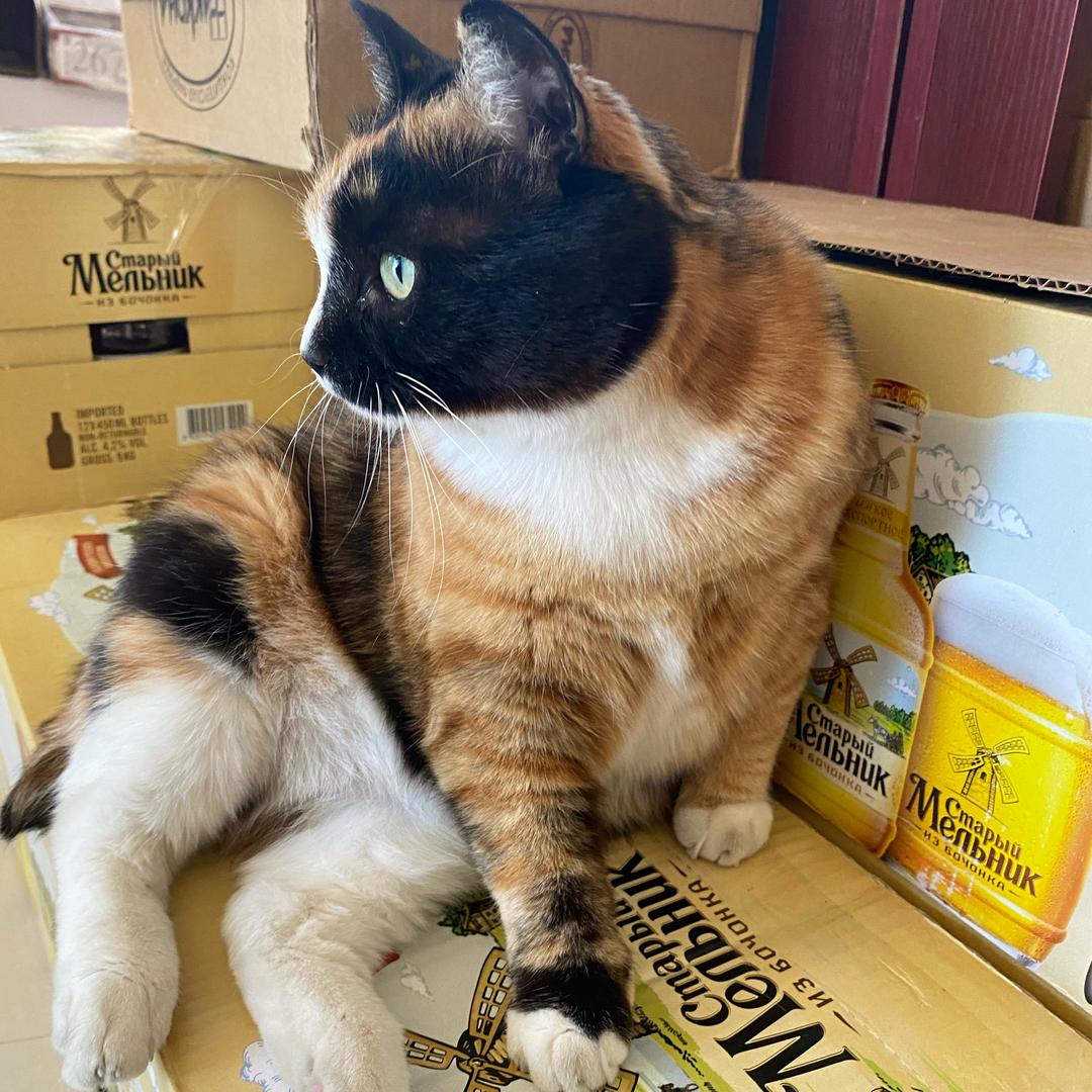 闹闹家的小店