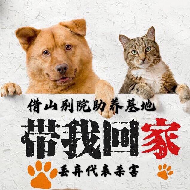 烟台借山别院流浪动物助养中心